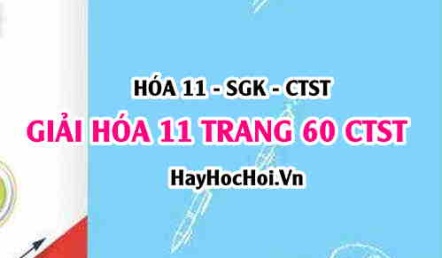 Giải Hóa 11 trang 60 SGK Chân trời sáng tạo